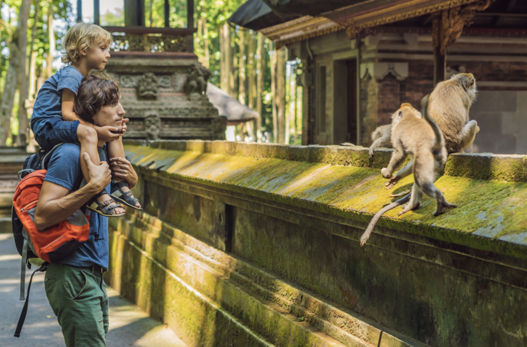 Father carrying child watching monkeys at Sacred Monkey Forest Ubud, surrounded by lush greenery and temple structures.